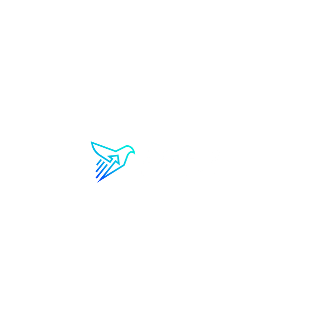 1 Leeds SEO Company FREE SEO Consult SOAR Digital